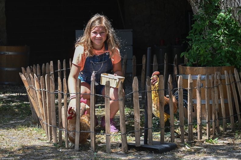 Sauts de pavés Kids