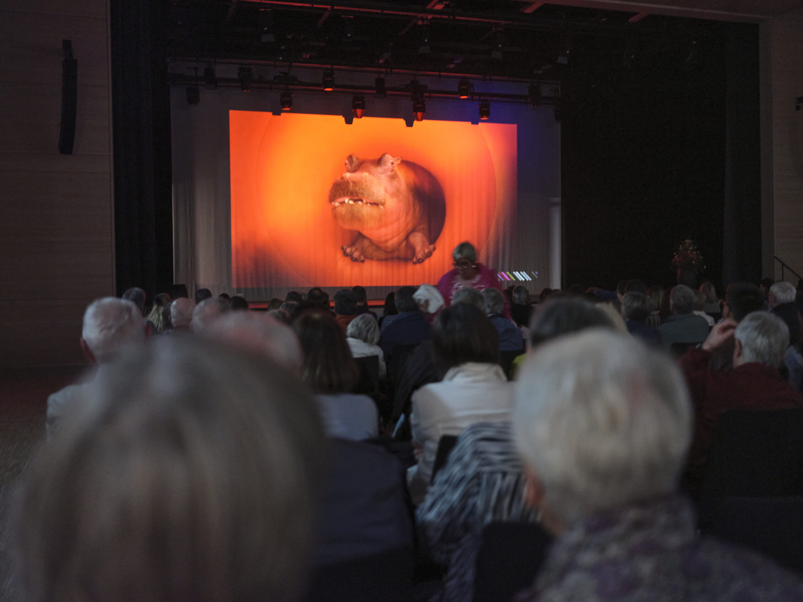 Kino am Mittwoch